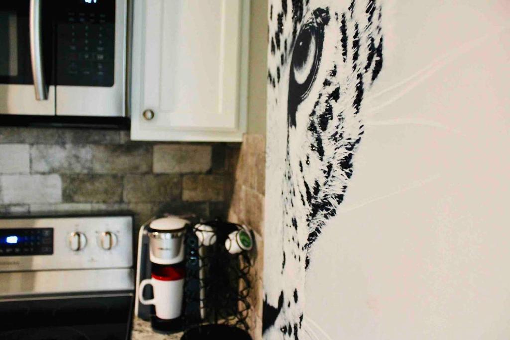 Big Cat Hideaway (guest house) image