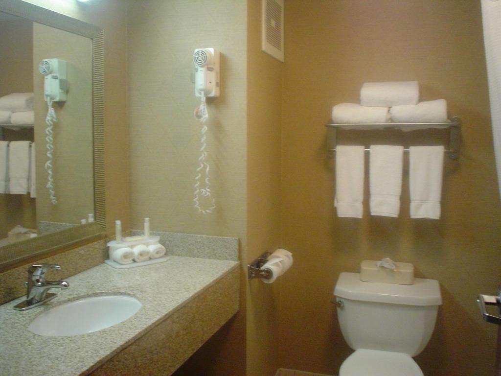 Holiday Inn Express Hotel & Suites Delaware-Columbus Area, an IHG Hotel photo 3