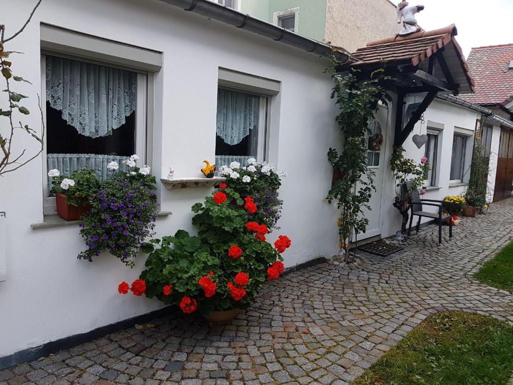 Ferienwohnung Heyne photo 1