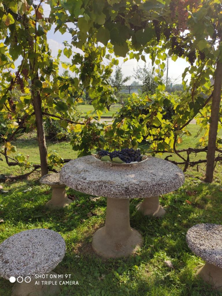 La Crota photo 4