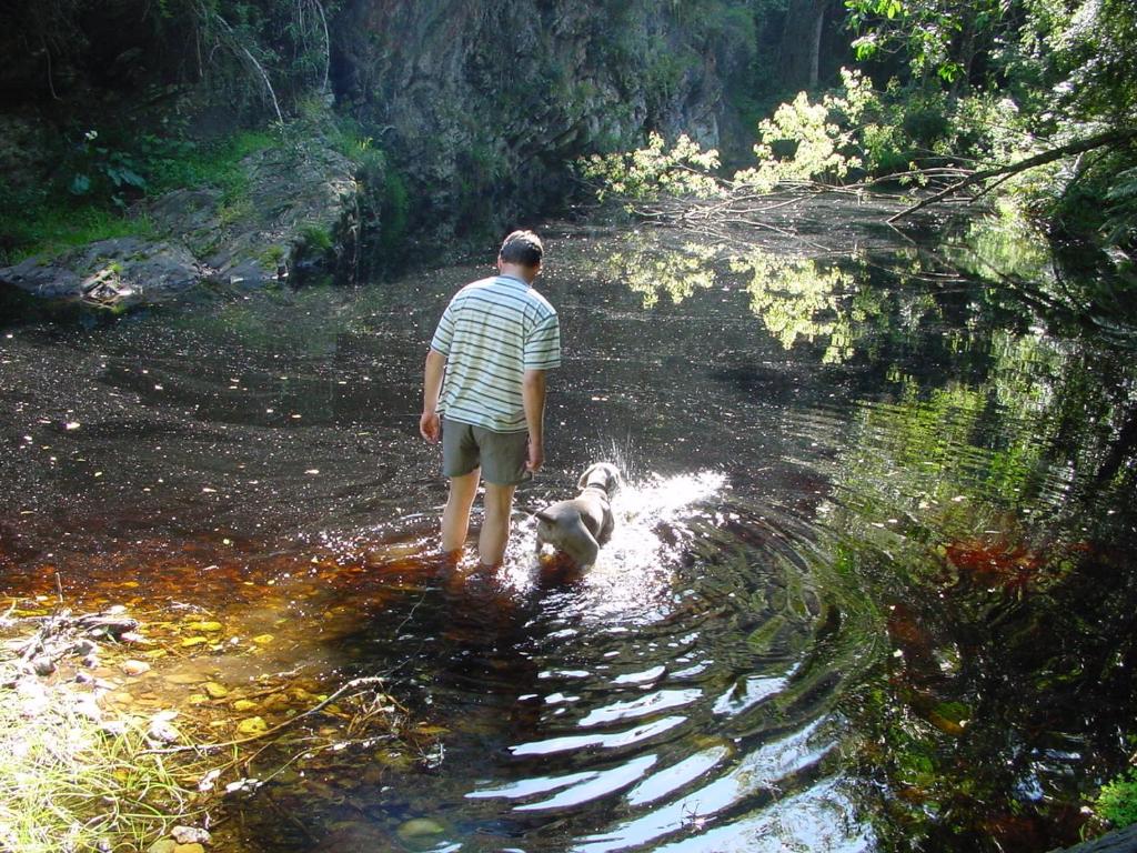 Wilderness Metanoia photo 3