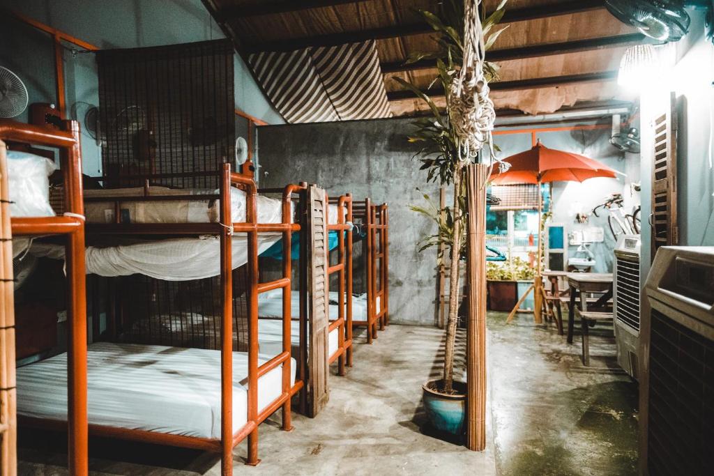 Motodorm Langkawi photo 3