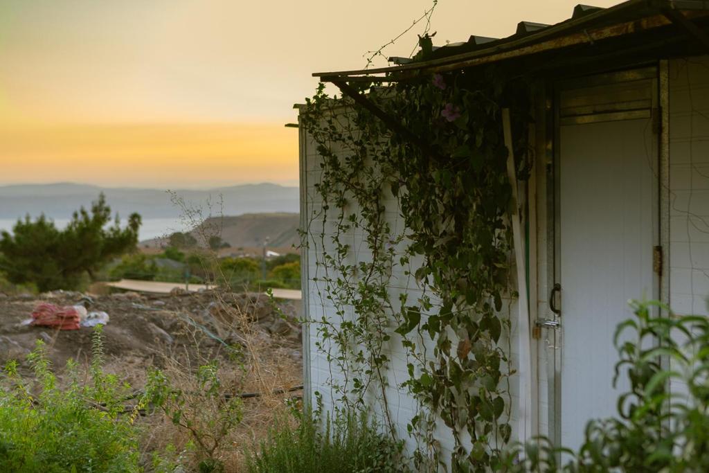 NATURA-eco farm photo 2