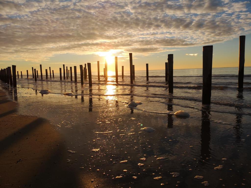 Nieuw Strand photo 1