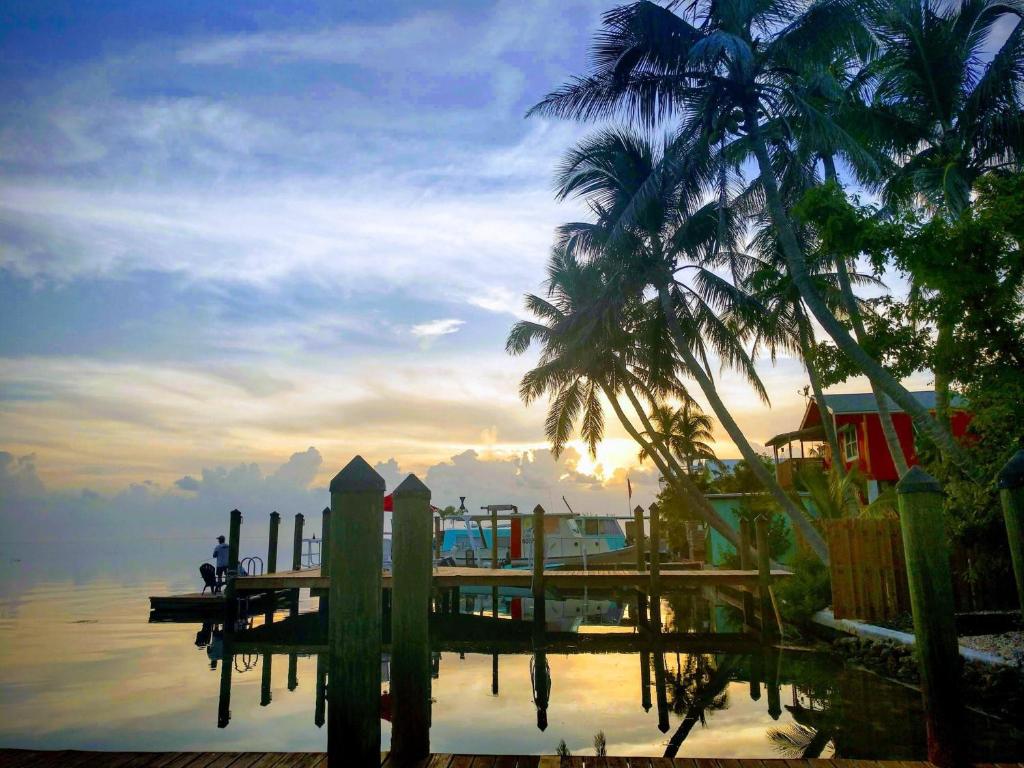 Conch Key Fishing Lodge and Marina image