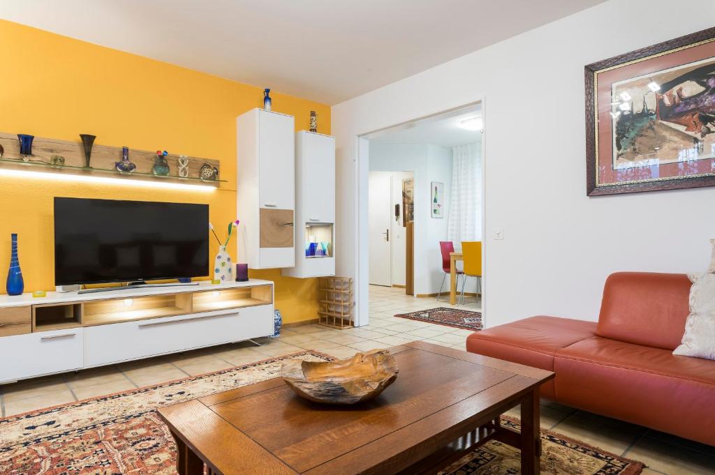 Modern, Cozy Large Apartment with Terrace in Basel- Allschwil photo 2