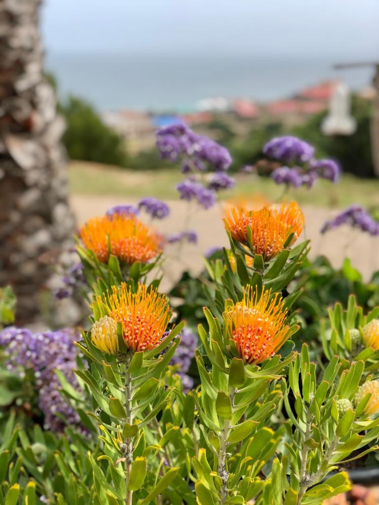 Maritima Holiday home photo 4