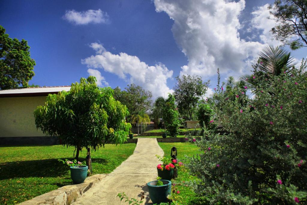 Jungle Paradise photo 2
