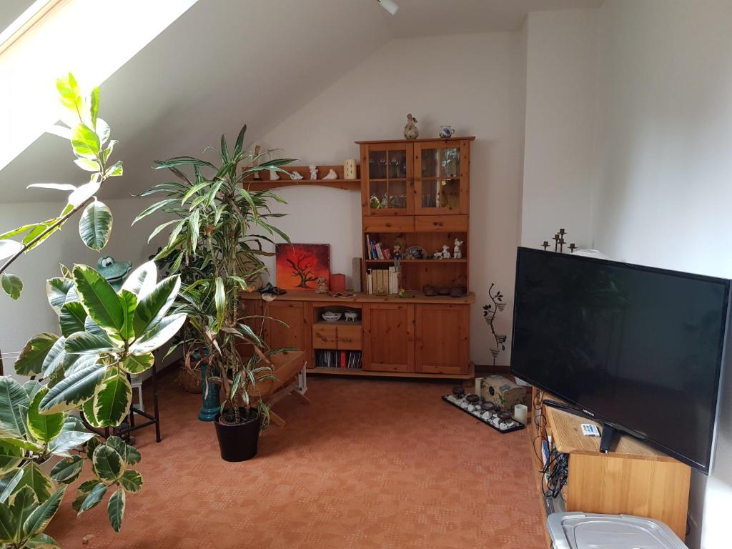 Ferienwohnung Blütenstadt Werder-Havel photo 1