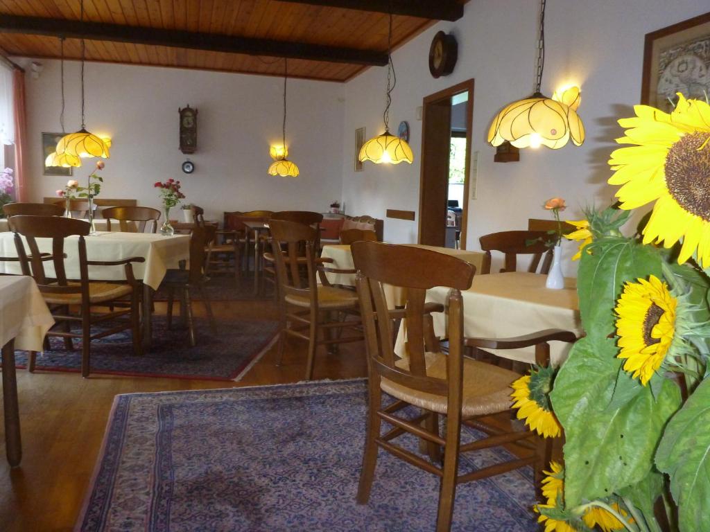 Hotel-Pension Stöber photo 3