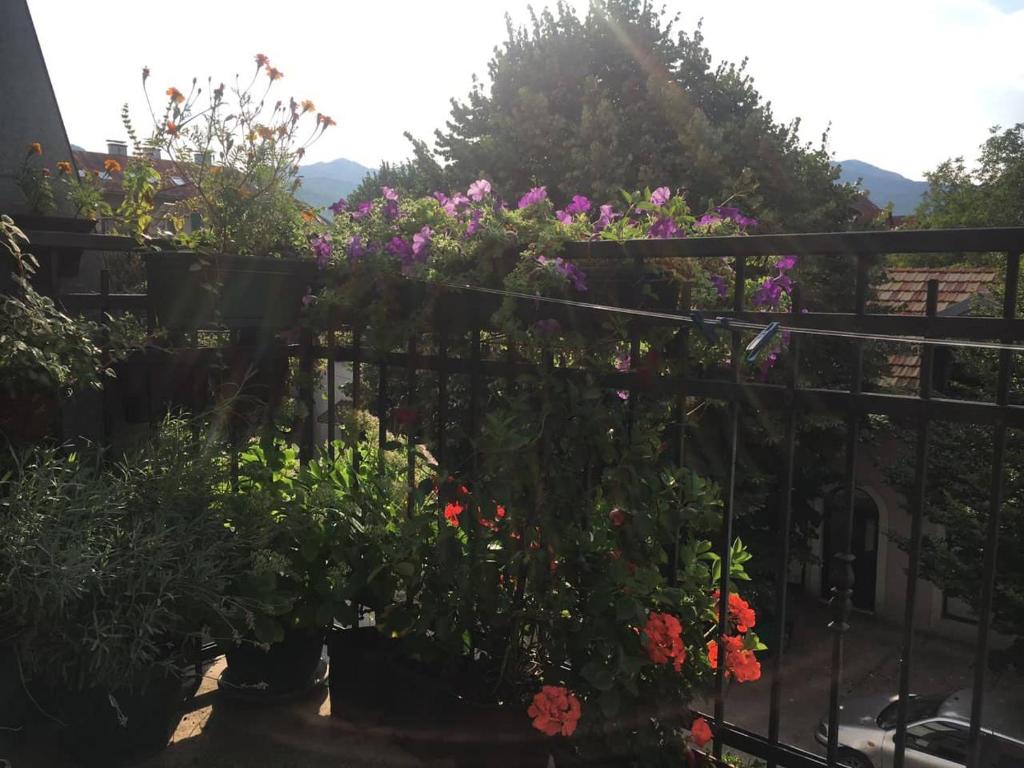 Guest House Pansion 10 photo 3
