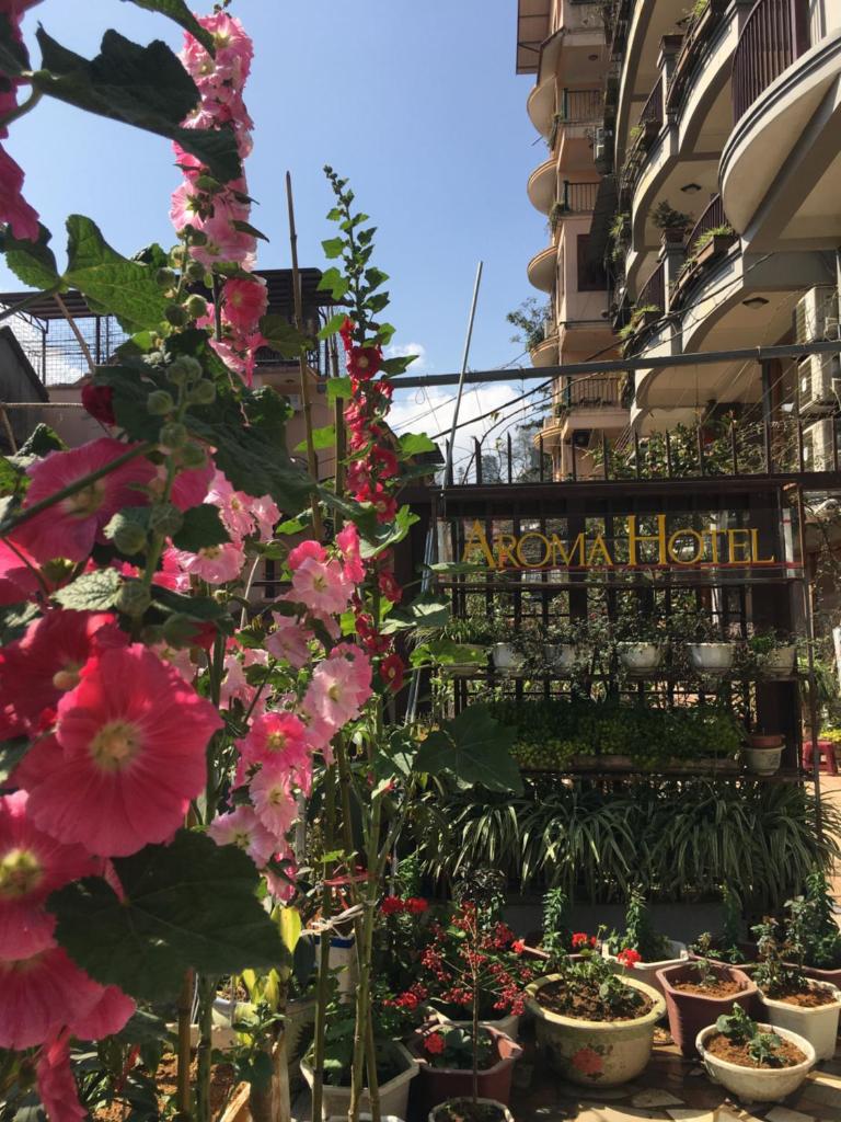 Sapa Aroma Hotel