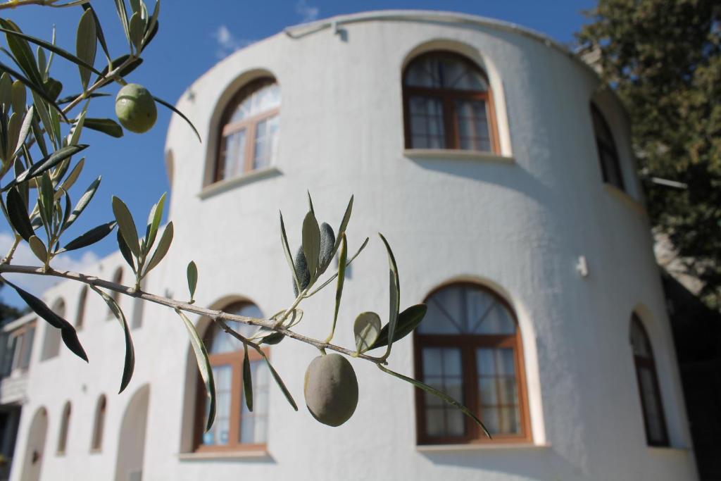 Pataki Guesthouse photo 4