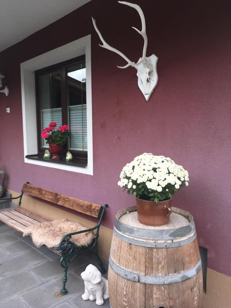 Haus Gsenger photo 2