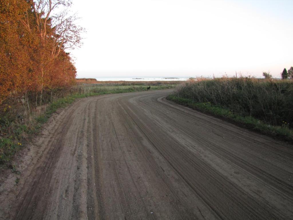 Stålemara Gård Prutgåsen photo 1