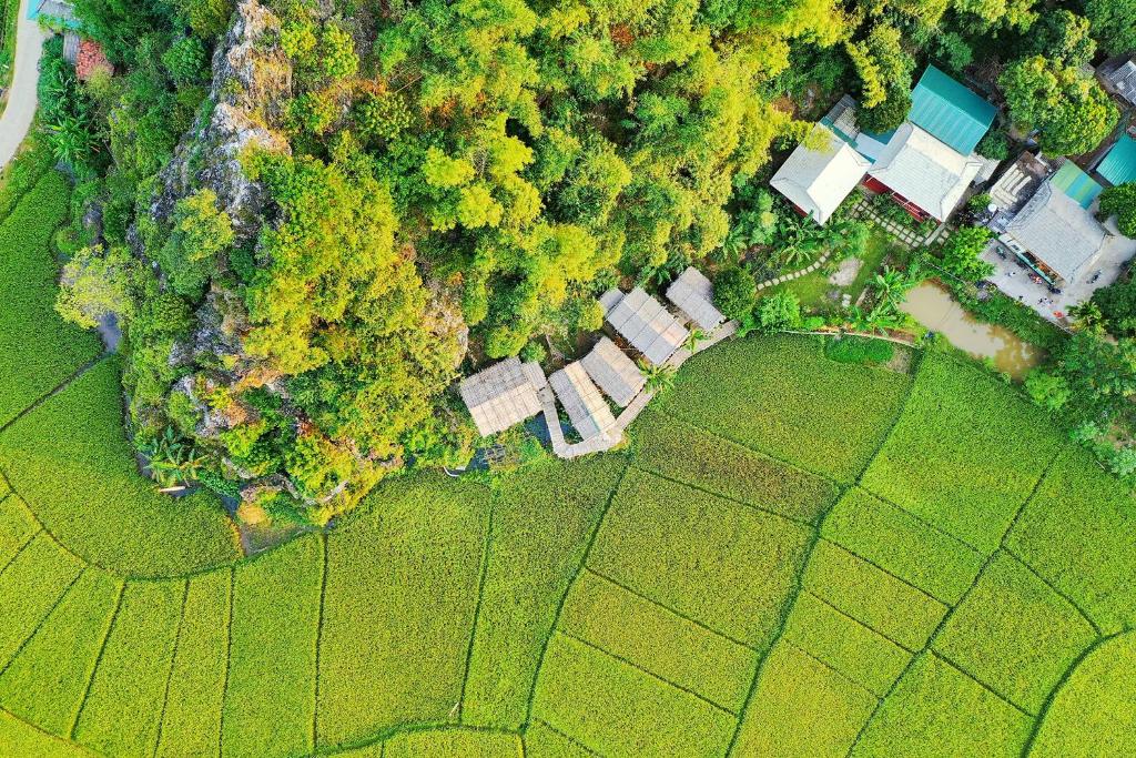 Little Mai Chau Homestay