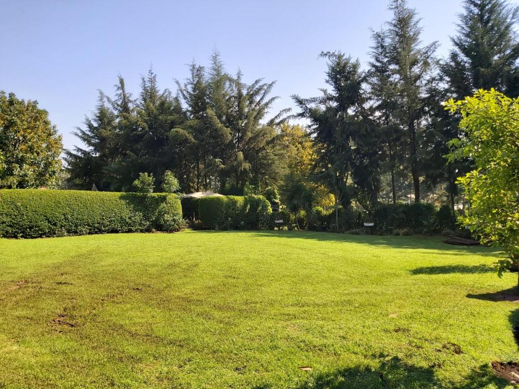Sahara Gardens-Kericho photo 3
