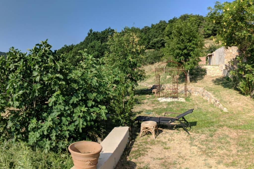 Le Belvedere photo 1