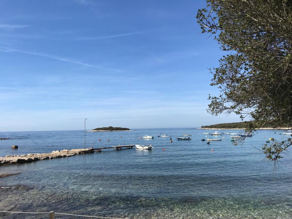 Villa Castel photo 3