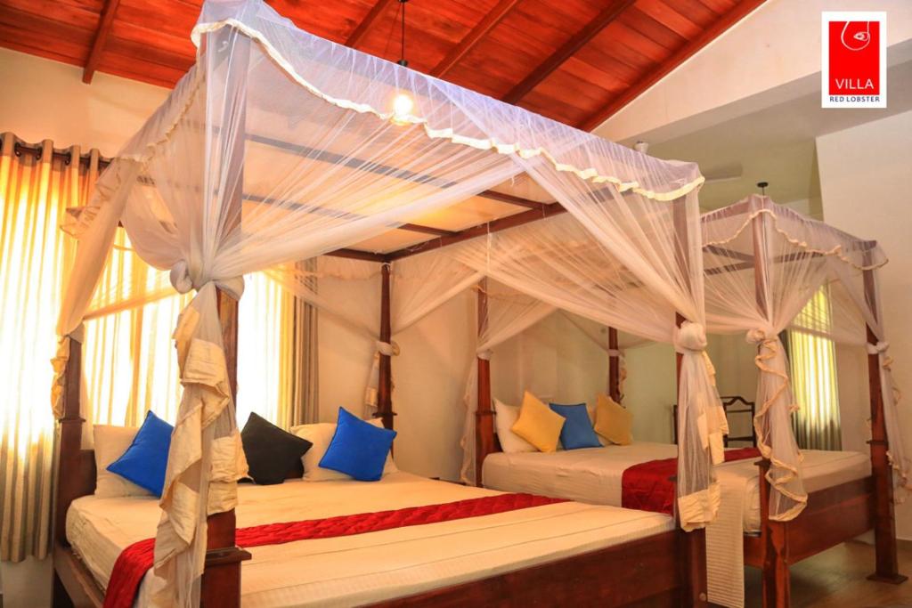 Семейный (Семейный номер Делюкс), Villa Red Lobster