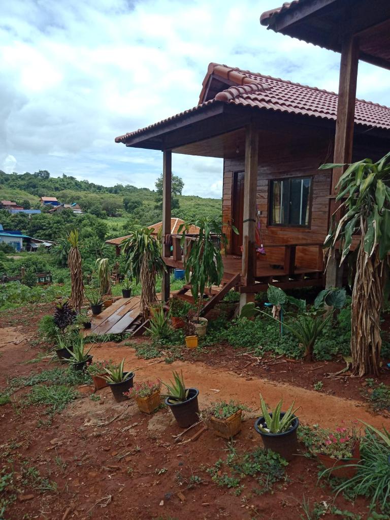 Happy bungalow & trekking photo 2