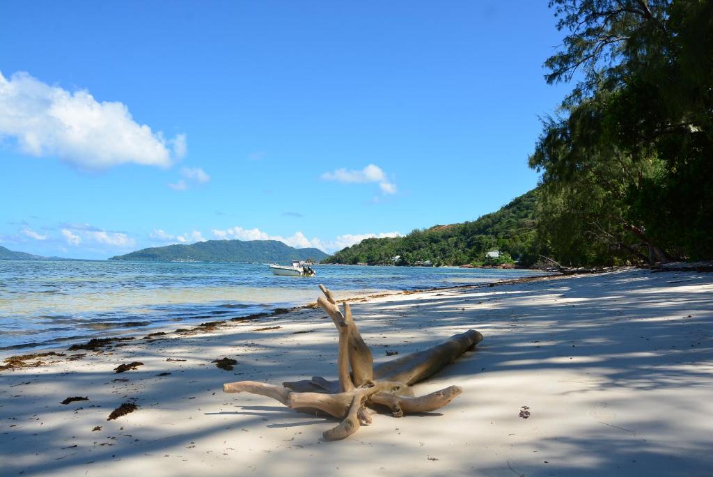 Villa Anse La Blague photo 4