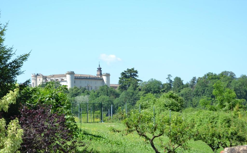 La Cascina dei Banditi photo 4