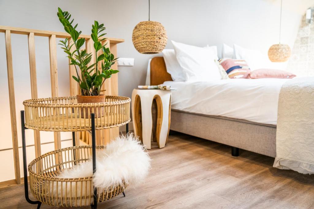 Just Texel Suites & Apartments photo 3
