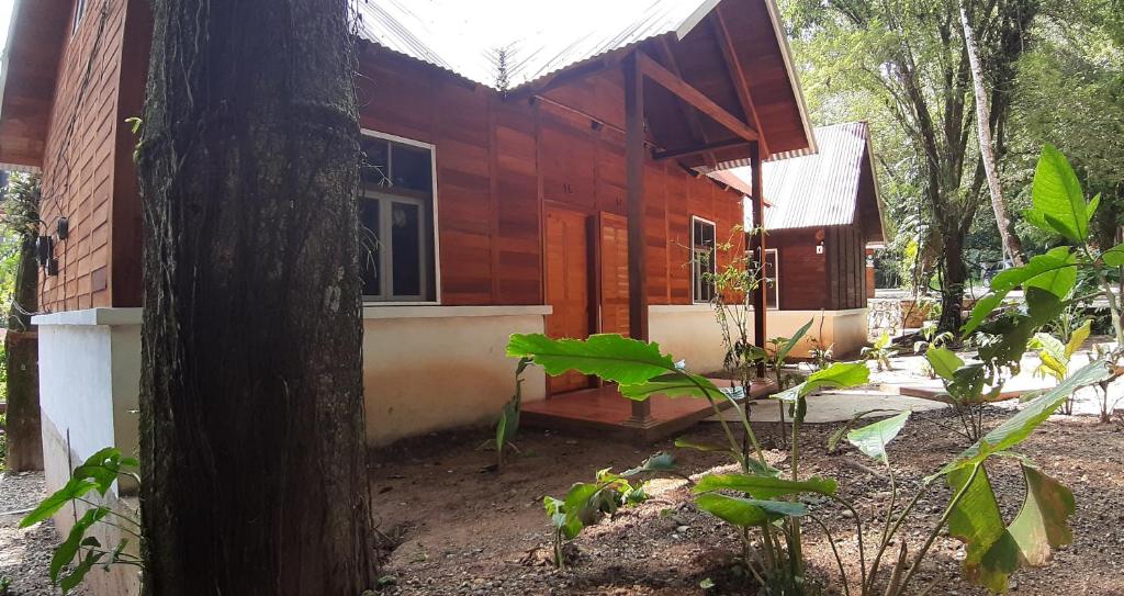 Cabañas Yax-ha photo 3