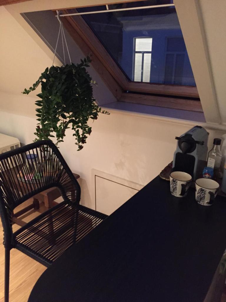 Brugge’s House of Friends photo 2