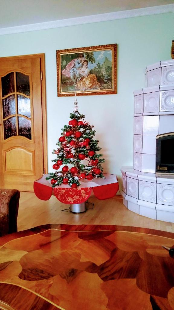 APARTMA AJDA photo 1