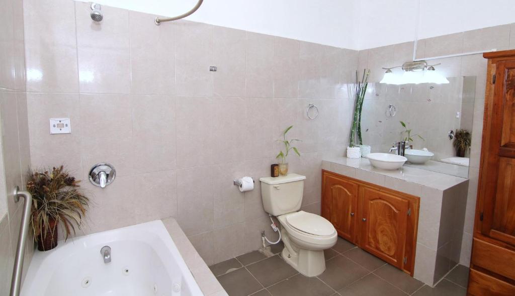 Rainforest Haven Inn photo 1