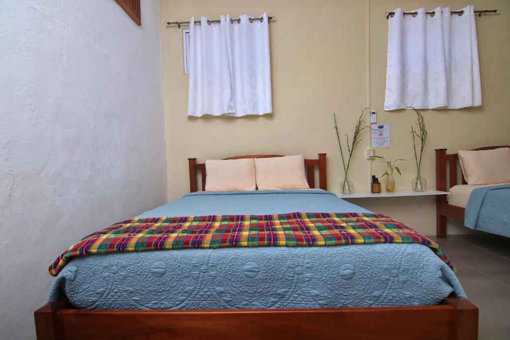 Rainforest Haven Inn photo 4