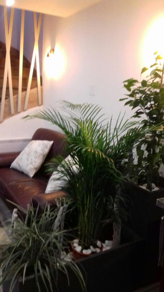 Gite de la plage photo 2