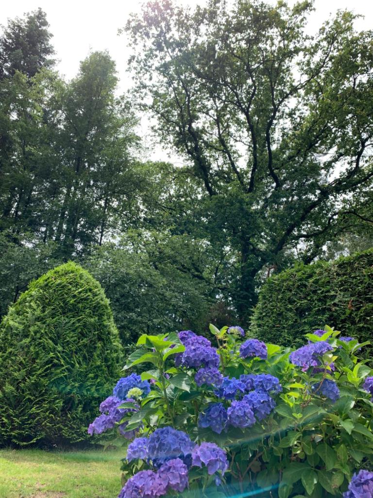 Zonnebos, private garden, fresh air, relax! photo 4