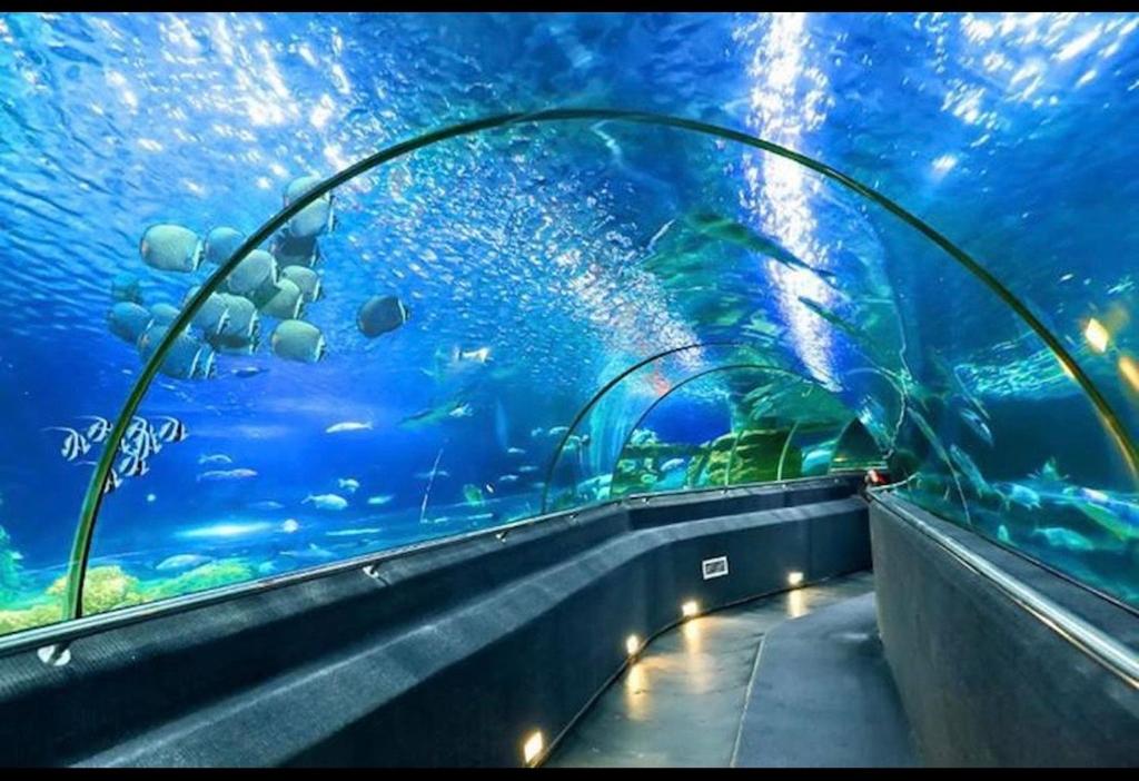 KHAIHOUSE-Park 7- Times City