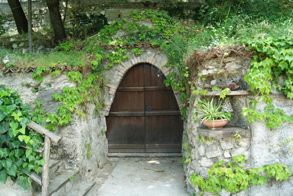 B&B IL QUERCETO photo 1