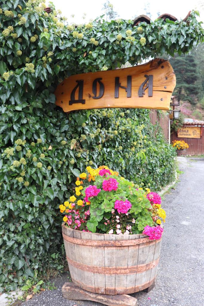 Dona Guest House - Horse Riding photo 4