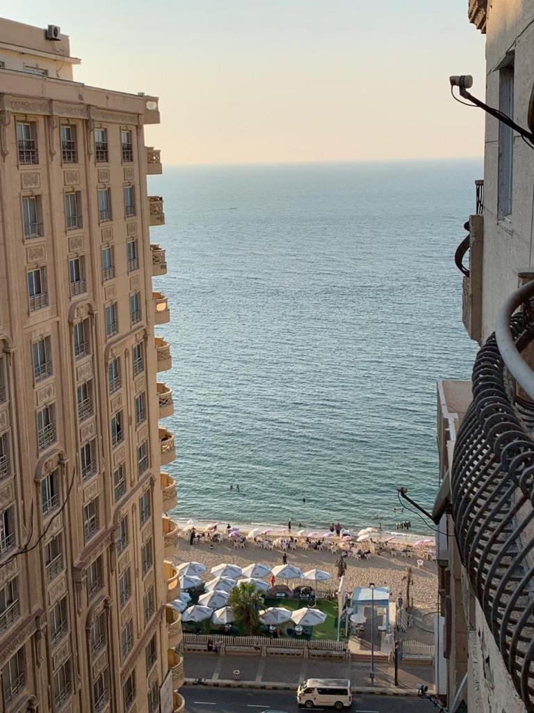 mody appartment at alexandria photo 3