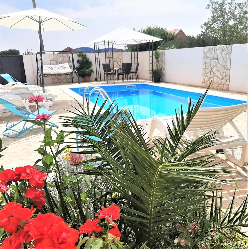 Apartments"Nika" with private pool photo 1