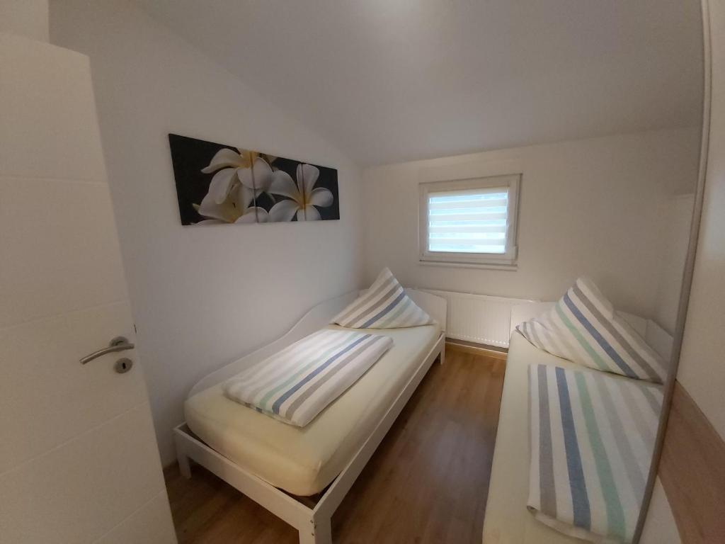 Apartment Claudia photo 4