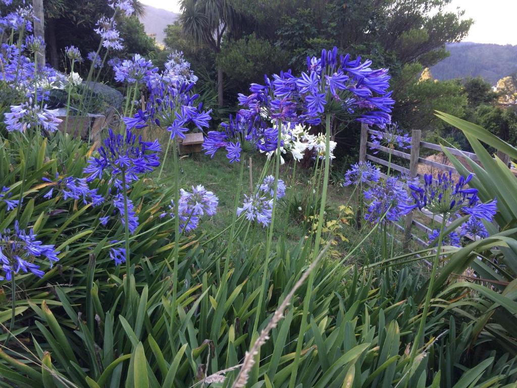 Garden View Cottages - Tap to explore photos