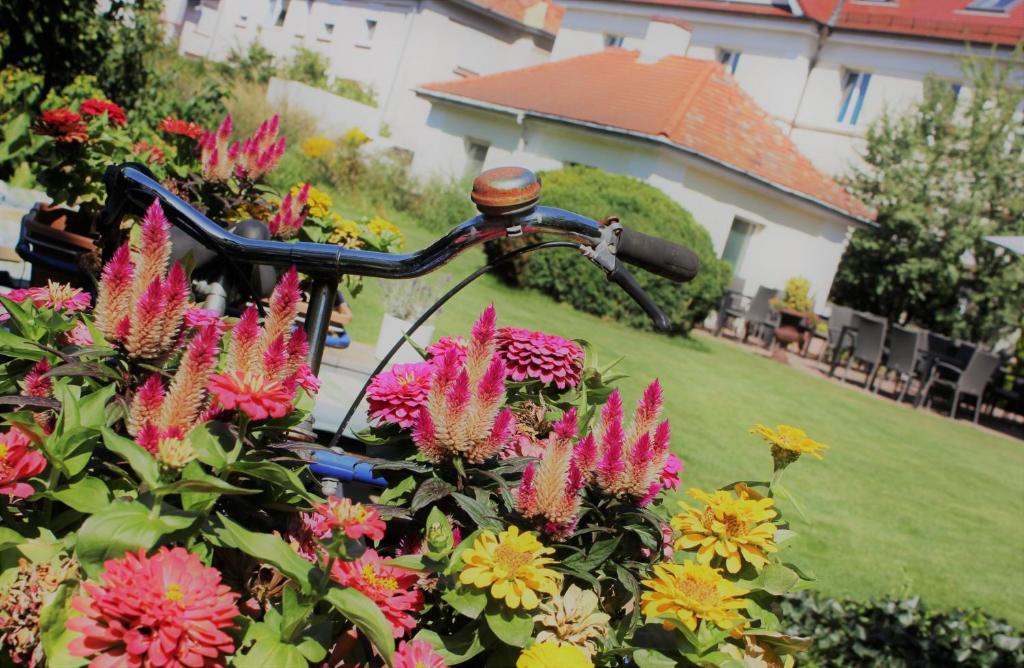 Hotel Germersheimer Hof photo 1