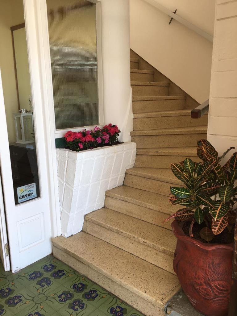 Hotel Danae photo 3