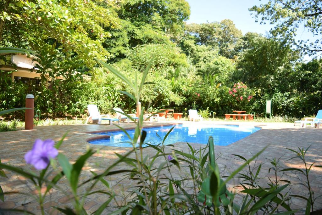 Ara Ambigua Lodge photo 2