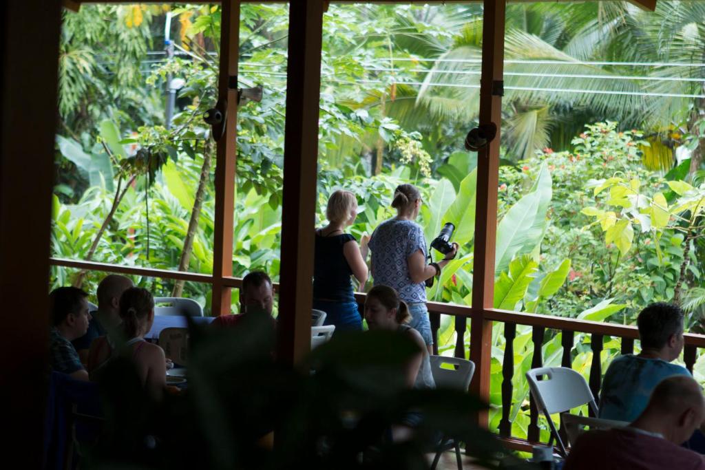 Ara Ambigua Lodge photo 3