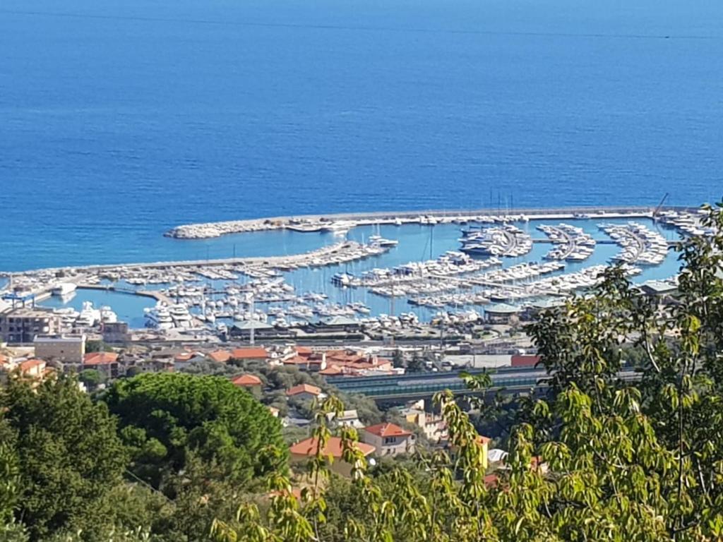 Tra gli ulivi da Giacinta photo 4