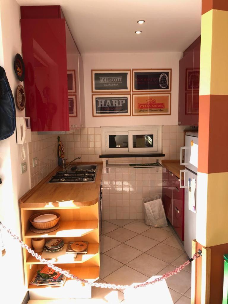 Al Canevelli 1 photo 3