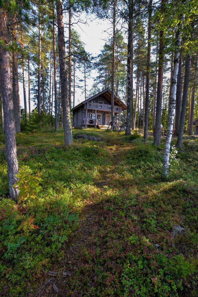 Vacation Home Tulikallio photo 3