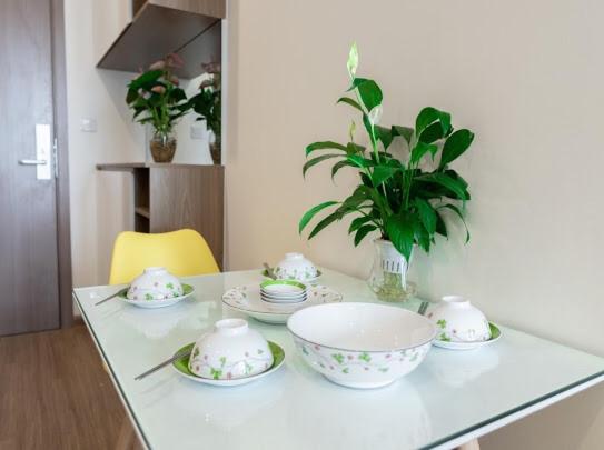 Vinhome Skylake apartment S2 21-08